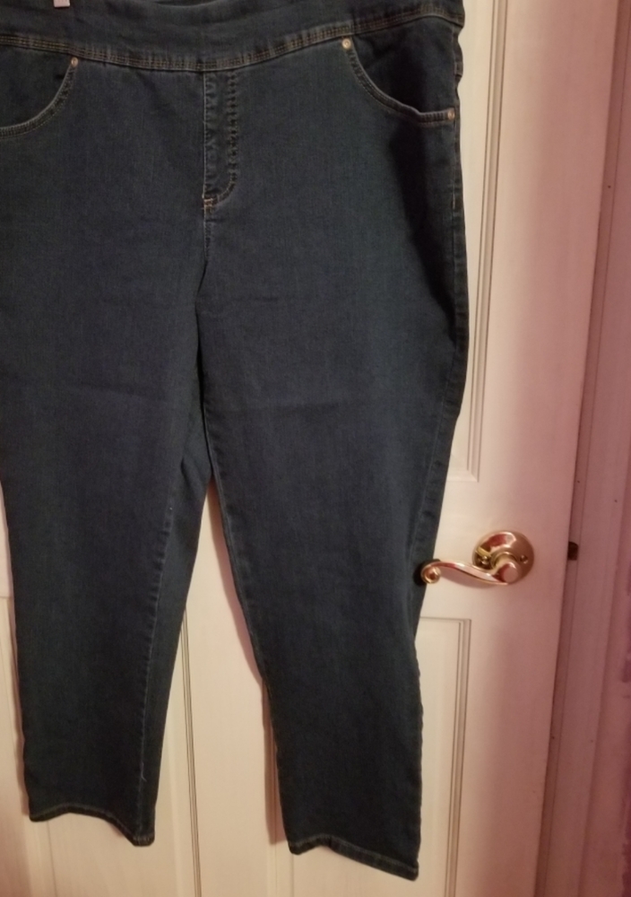 Terra & Sky pull on stretch jeans